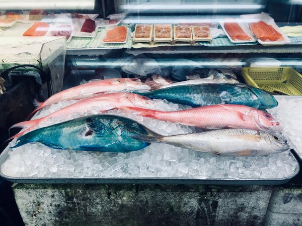 Top 5 boutiques de pêche à lyon à ne pas manquer